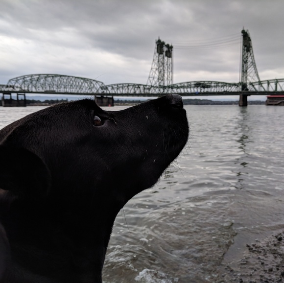 Meet your Posher, Pauline - Picture 4 of 5